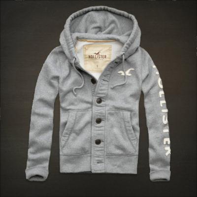 Hollister Men Hoodies-58